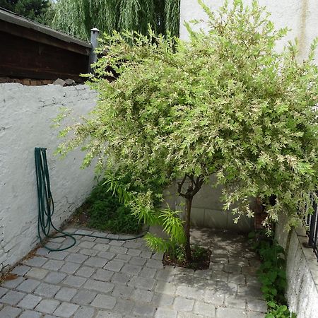 Mur 4 - Apartament Z Patio Stary Toruń Esterno foto
