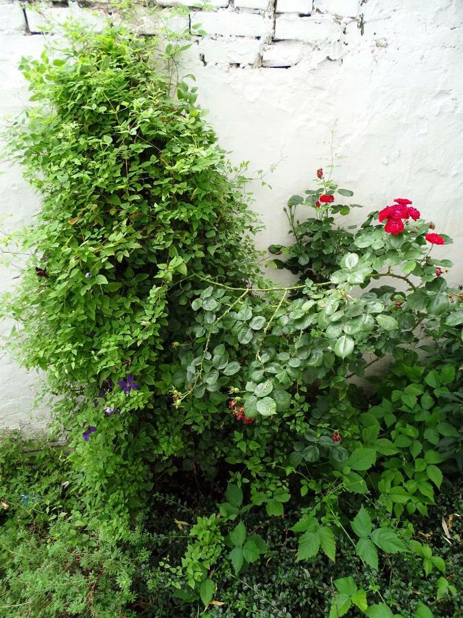 Mur 4 - Apartament Z Patio Stary Toruń Esterno foto