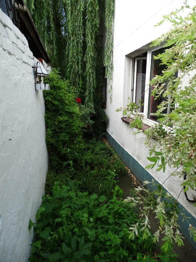 Mur 4 - Apartament Z Patio Stary Toruń Esterno foto